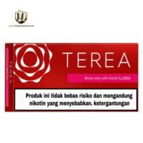 TEREA Sienna Indonesian in Dubai | Rich Woody Tobacco for IQOS ILUMA