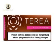 TEREA Bronze Indonesian in Dubai | Bold Roasted Tobacco for IQOS ILUMA