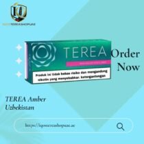 TEREA Black Green Indonesia | Strong Menthol Tobacco for IQOS ILUMA