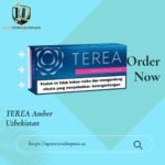TEREA Blue Indonesian in Dubai | Smooth Menthol Tobacco for IQOS ILUMA