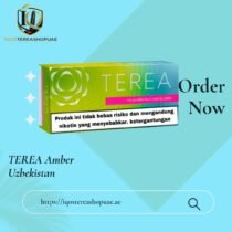 TEREA Bright Wave Indonesian | Tropical Fruity Menthol for IQOS ILUMA
