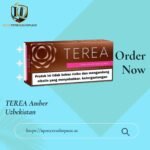 TEREA Bronze Indonesian in Dubai | Bold Roasted Tobacco for IQOS ILUMA