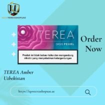 TEREA Oasis Pearl Indonesia | Soft Fruity Menthol for IQOS ILUMA