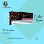 TEREA Golden Edition Indonesia | Rich Golden Tobacco for IQOS ILUMA
