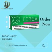 TEREA Green Indonesia | Balanced Menthol Tobacco for IQOS ILUMA
