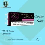 TEREA Mulint Edition Indonesia | Multi Menthol Tobacco for IQOS ILUMA