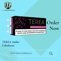 TEREA Mulint Edition Indonesia | Multi Menthol Tobacco for IQOS ILUMA