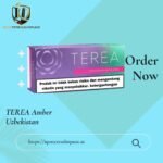 TEREA Purple Wave Indonesia | Fruity Berry Menthol for IQOS ILUMA