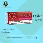 TEREA Sienna Indonesian in Dubai | Rich Woody Tobacco for IQOS ILUMA