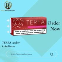TEREA Sienna Indonesian in Dubai | Rich Woody Tobacco for IQOS ILUMA