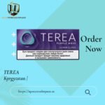 TEREA Purple Wave Kyrgyzstan | Berry Menthol Tobacco for IQOS ILUMA