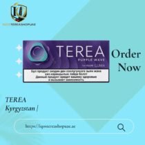 TEREA Purple Wave Kyrgyzstan | Berry Menthol Tobacco for IQOS ILUMA