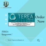 TEREA Turquoise Kyrgyzstan | Strong Menthol Tobacco for IQOS ILUMA