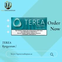 TEREA Turquoise Kyrgyzstan | Strong Menthol Tobacco for IQOS ILUMA
