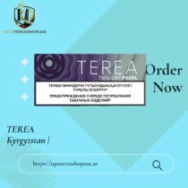 TEREA Twilight Pearl Kyrgyzstan | Soft Fruity Menthol for IQOS ILUMA