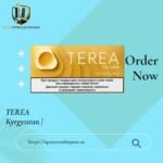TEREA Twilight Pearl Kyrgyzstan | Soft Fruity Menthol for IQOS ILUMA