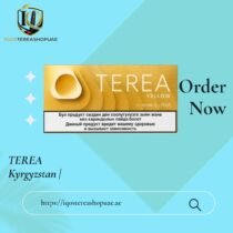 TEREA Twilight Pearl Kyrgyzstan | Soft Fruity Menthol for IQOS ILUMA