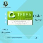 TEREA Twilight Pearl Kyrgyzstan | Soft Fruity Menthol for IQOS ILUMA
