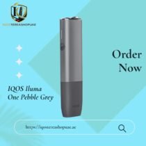 IQOS Iluma One Pebble Grey